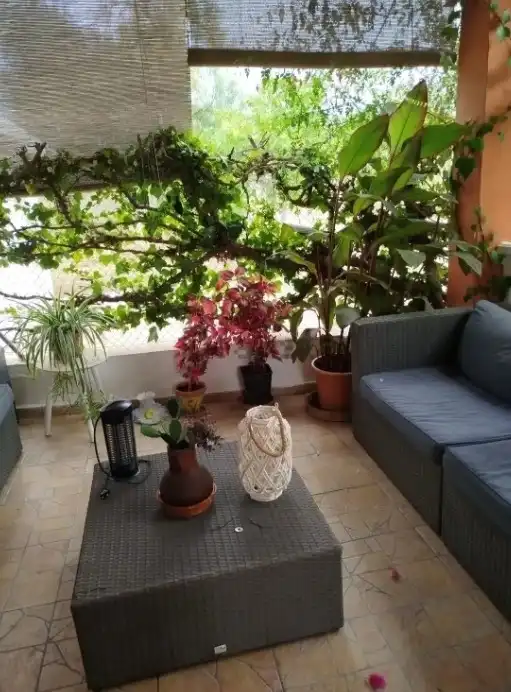 House 60 m² in Montserrat