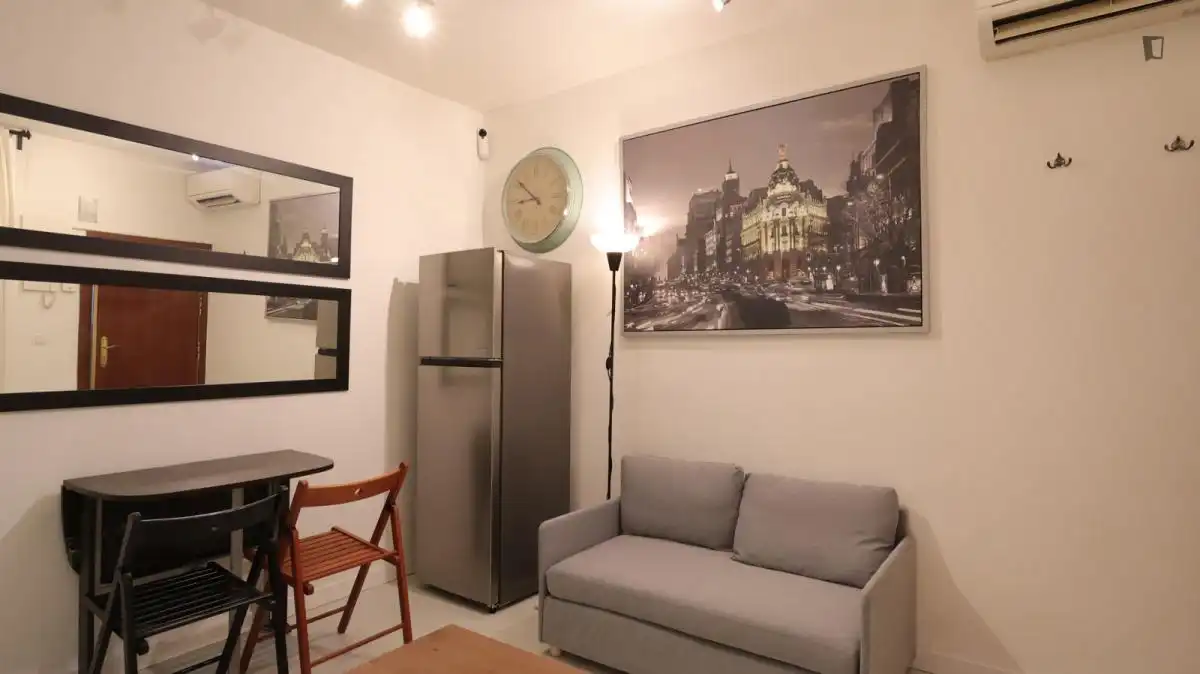 Pis de 28 m² a Madrid