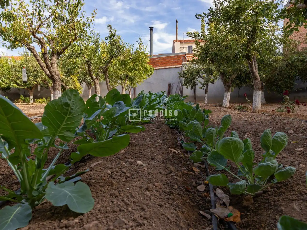 Piso de 1056 m² en Madridejos