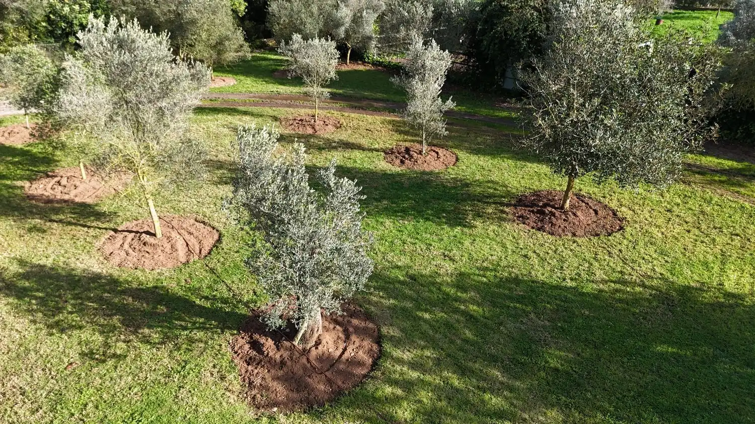 Casa de 175 m² a Manacor