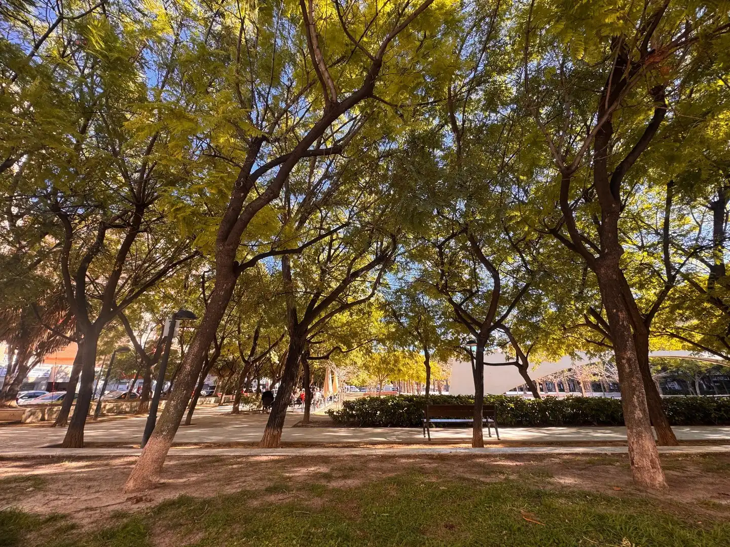 Pis de 60 m² a Alacant