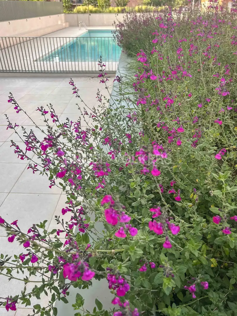 Piso de 100 m² en Terrassa