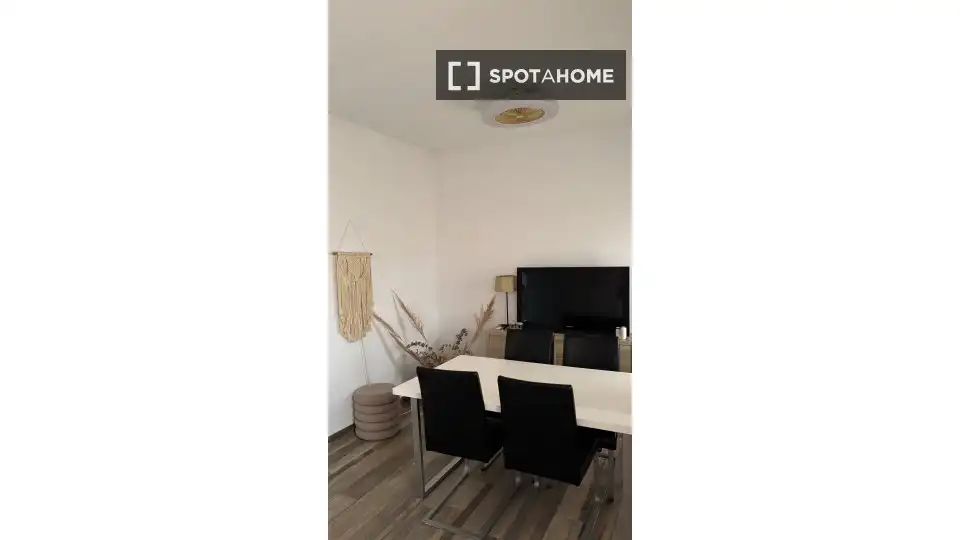 Habitació de lloguer, Alacant
