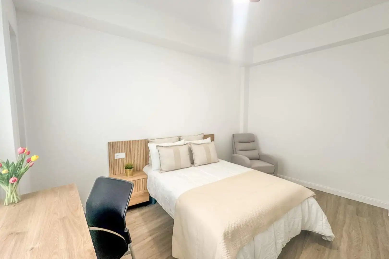 Habitación 60 m², Elche