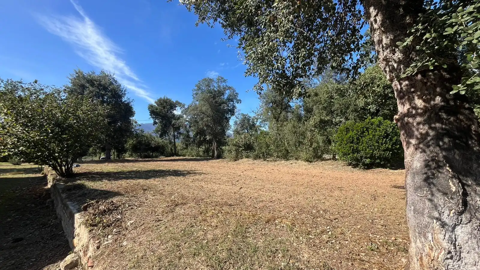 Casa 311 m² a Riells i Viabrea