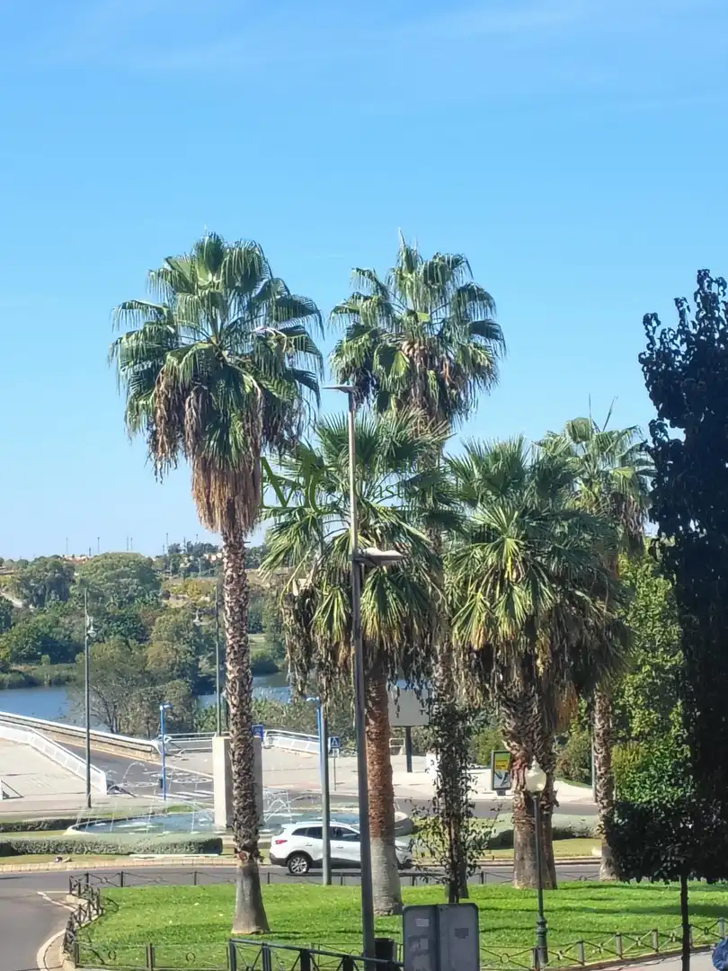 Apartamento 50 m² em Mérida