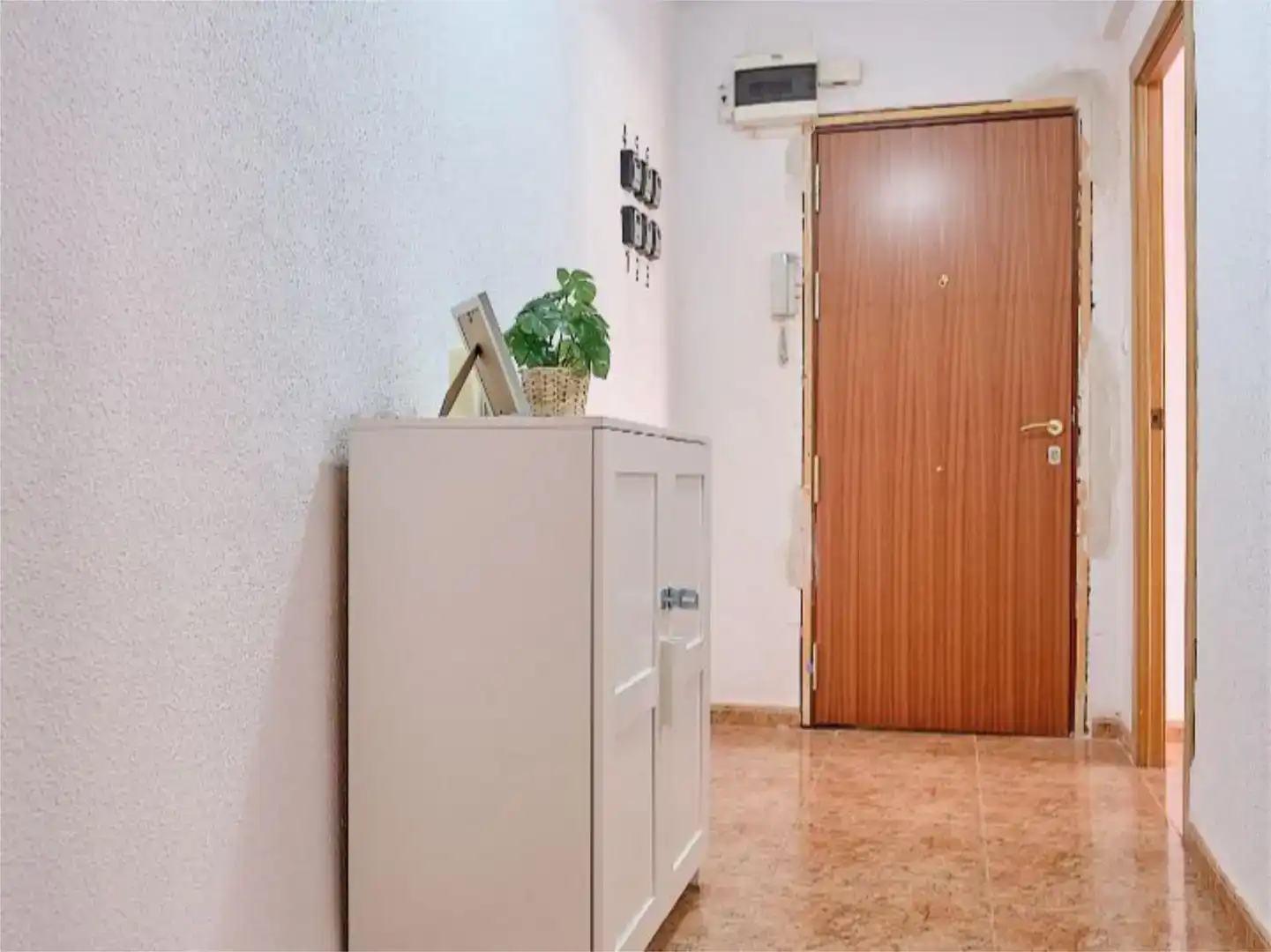 Habitación 150 m², Elche