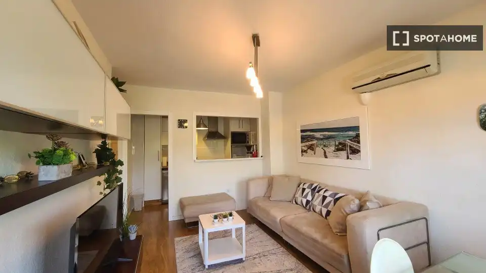 Habitación 61 m², Orihuela