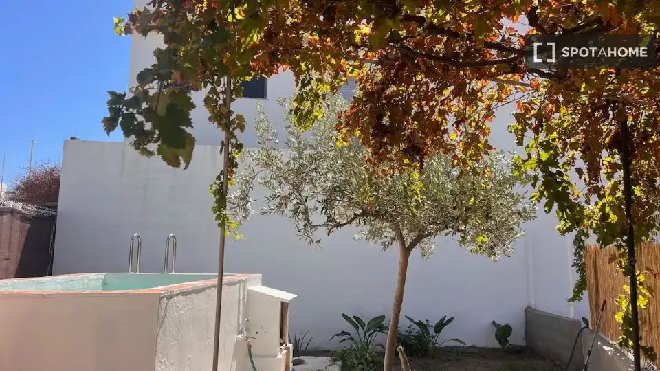Pis de 50 m² a Oliva