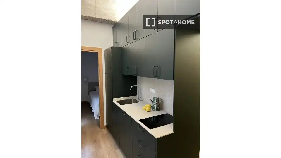 Habitación 46 m², Bilbao