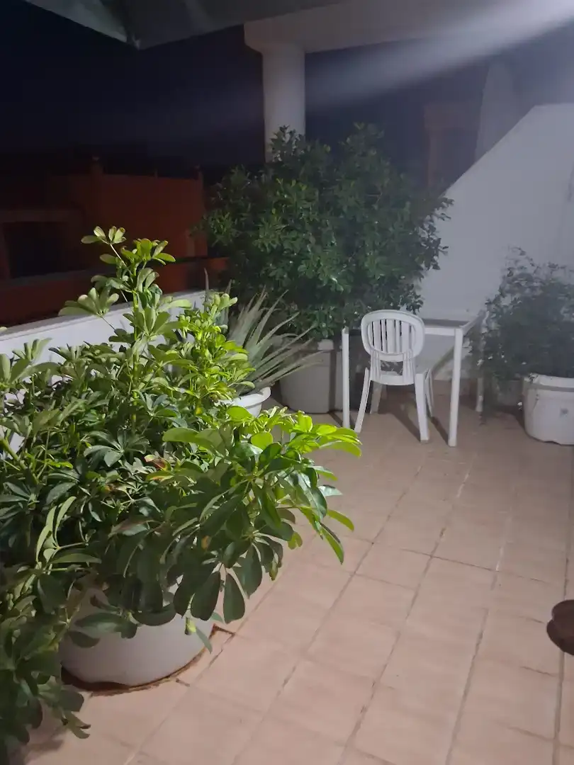 Piso de 49 m² en Vera