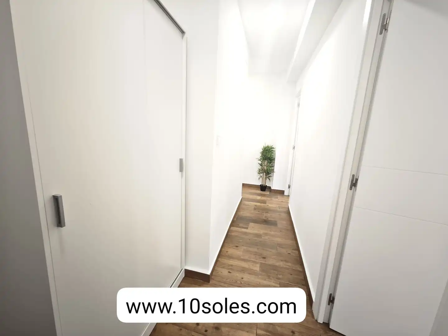 Habitación 50 m², Orihuela