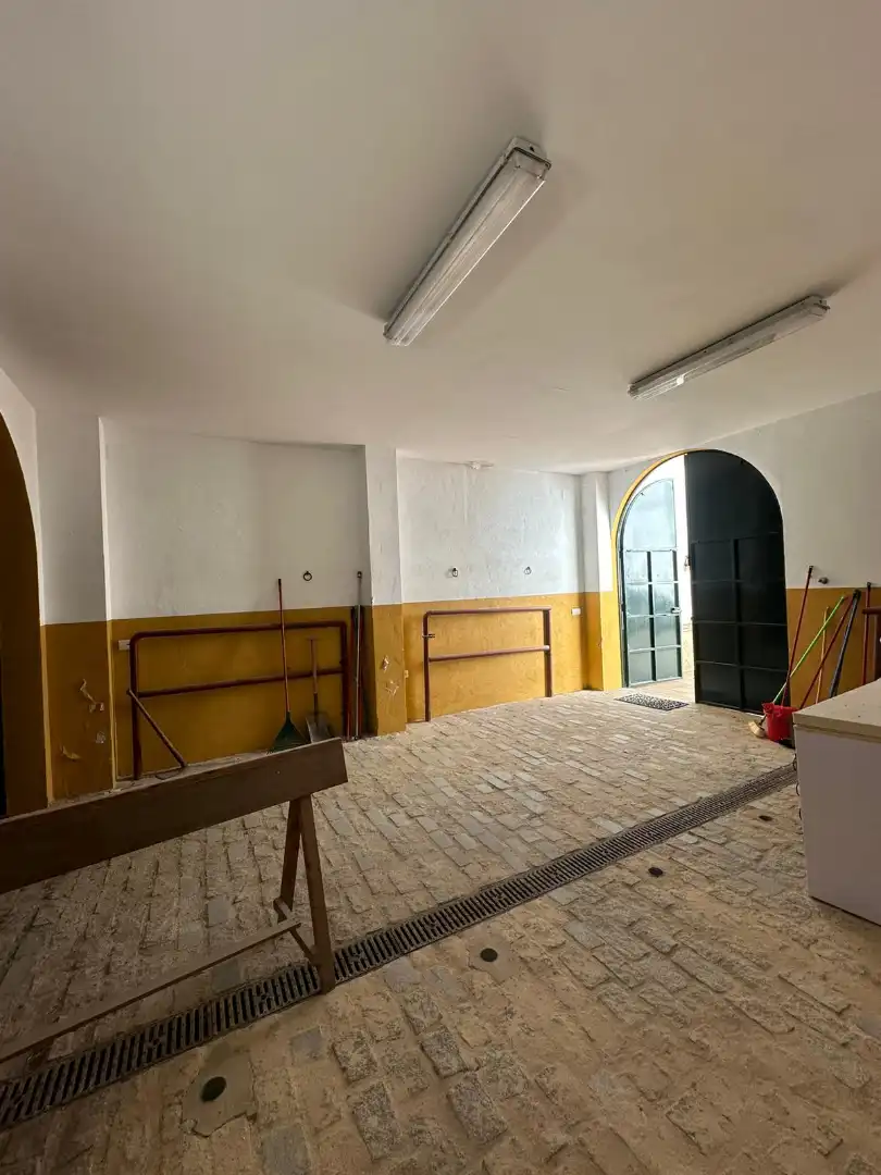 Casa de 300 m² en Almonte