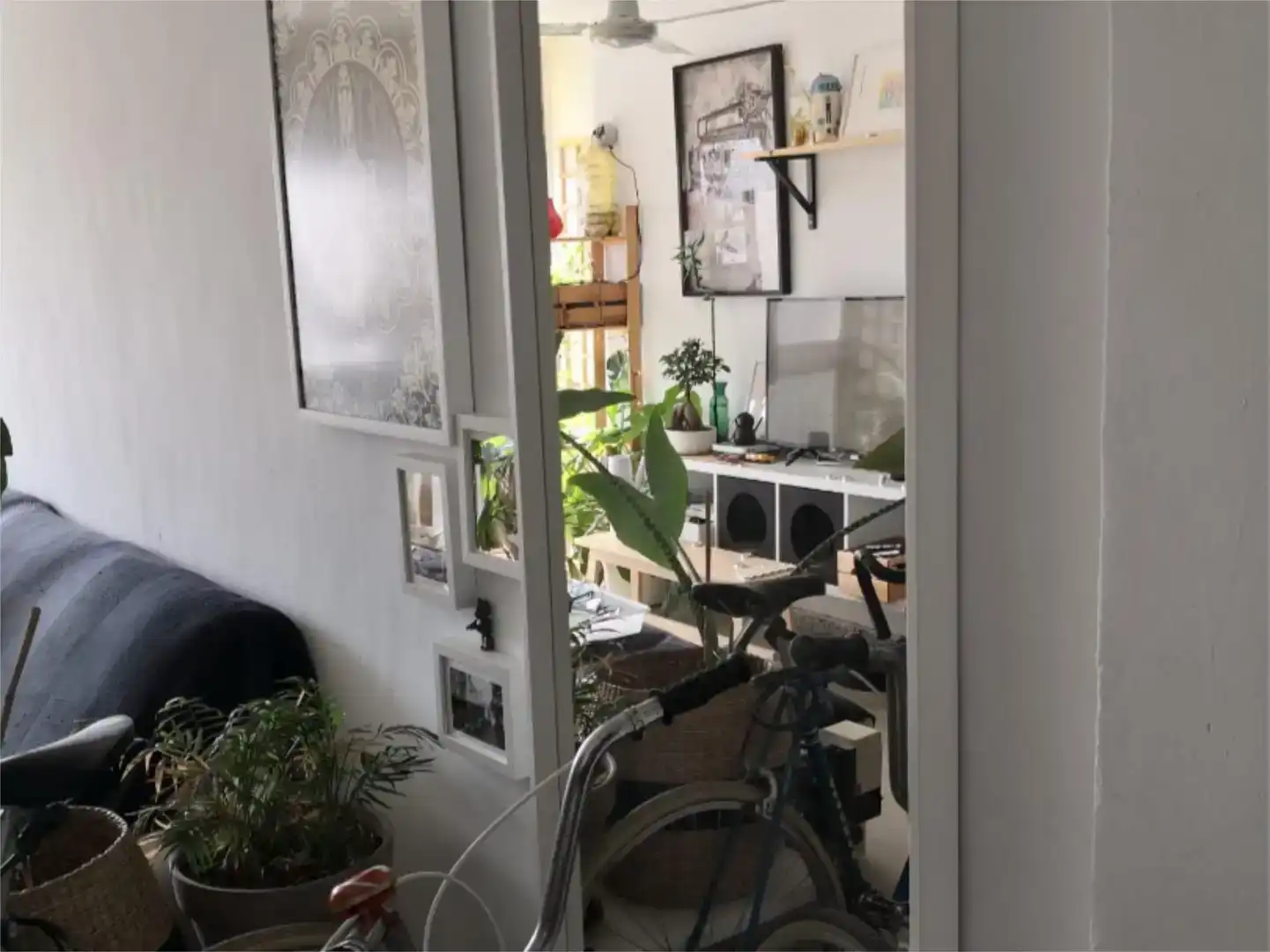 Habitación 80 m², Málaga