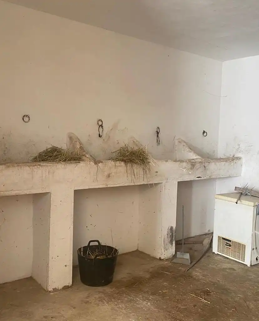 Piso de 300 m² en Almonte