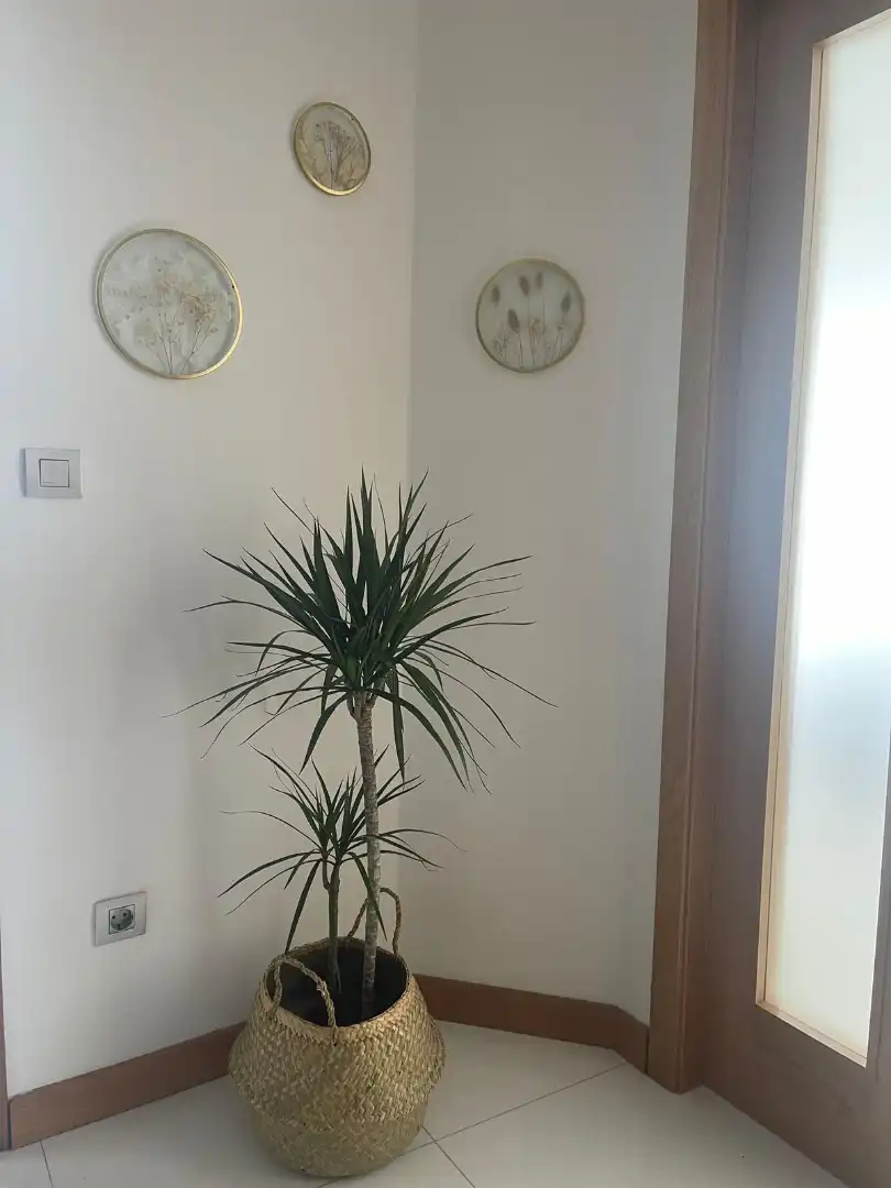 Piso de 160 m² en Lugo