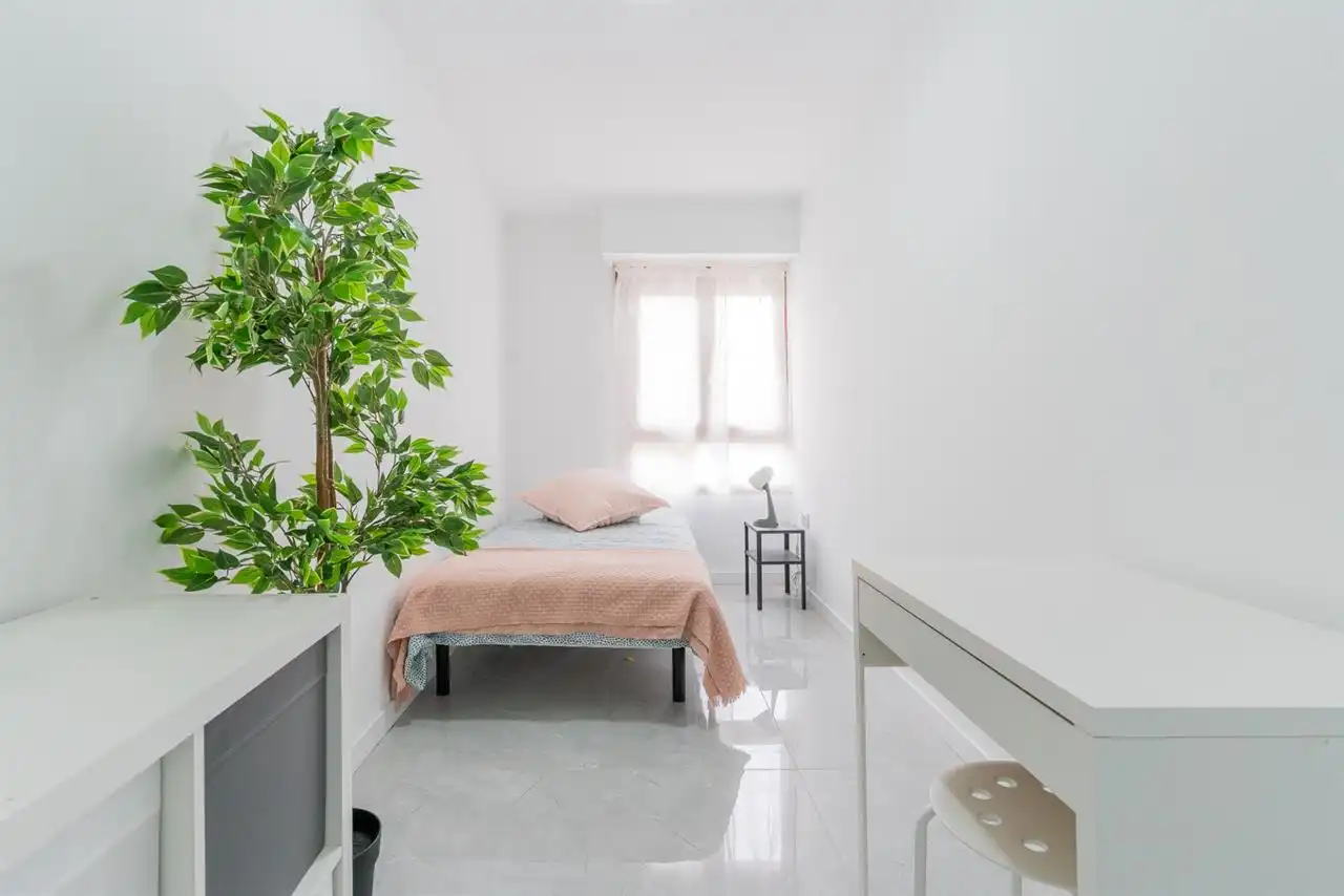 Habitación 285 m², Castellón de la Plana