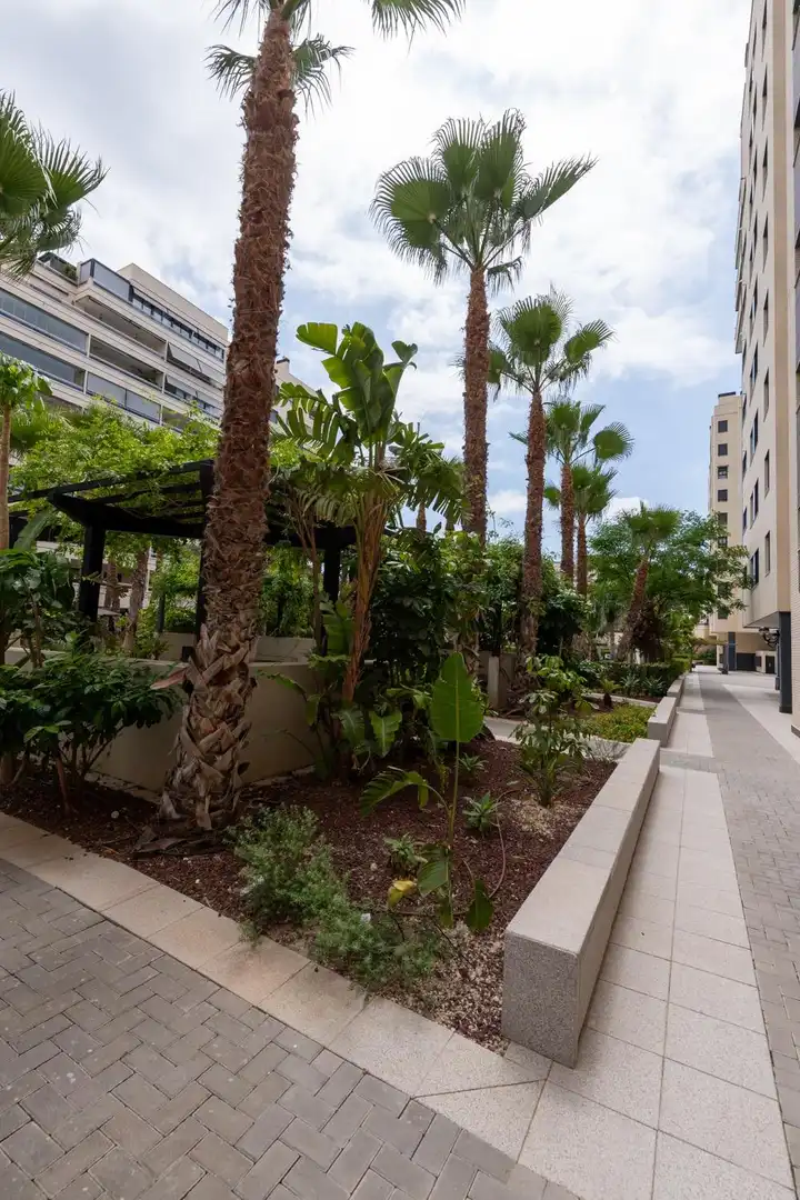 Pis de 85 m² a Alacant
