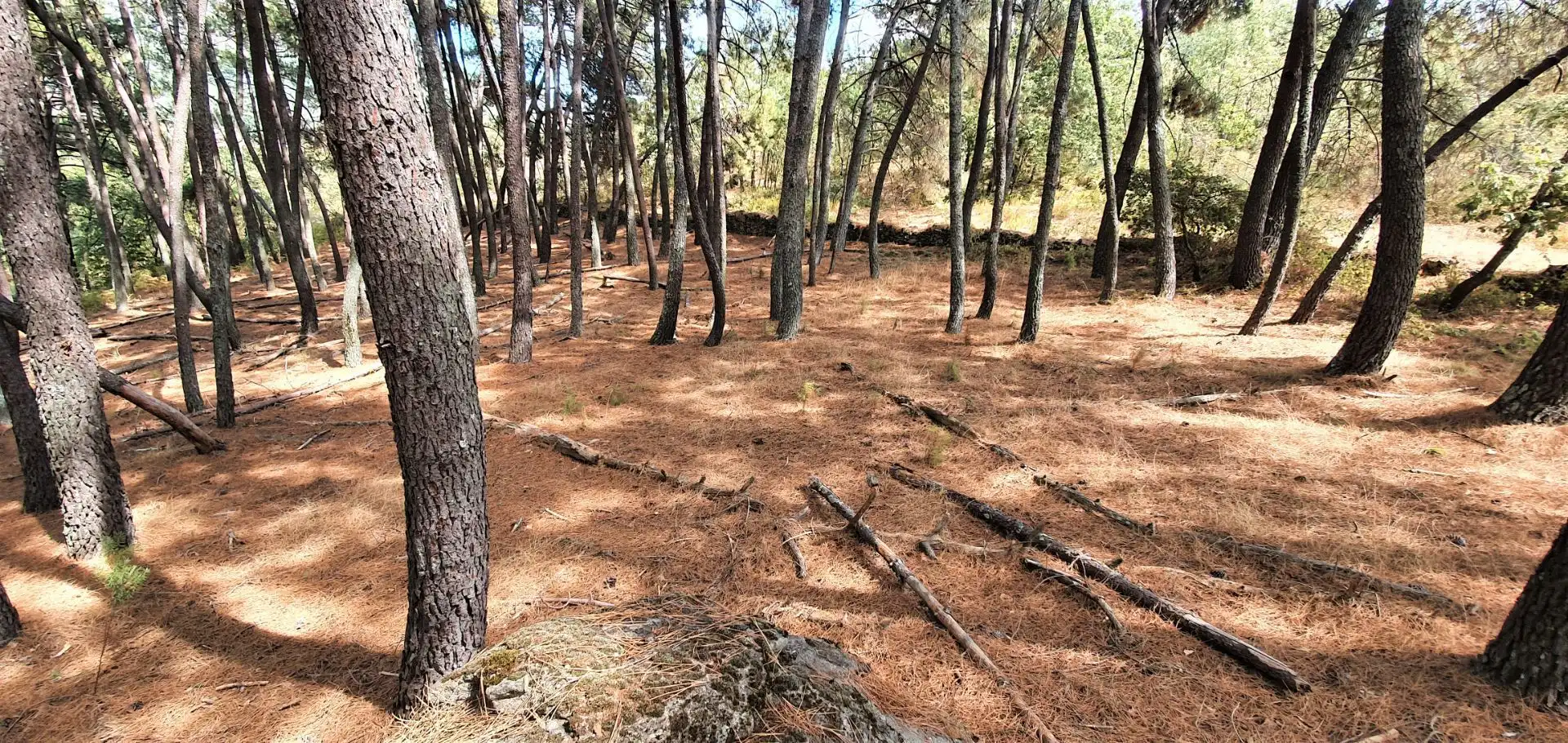 Pis de 57 m² a Lleida