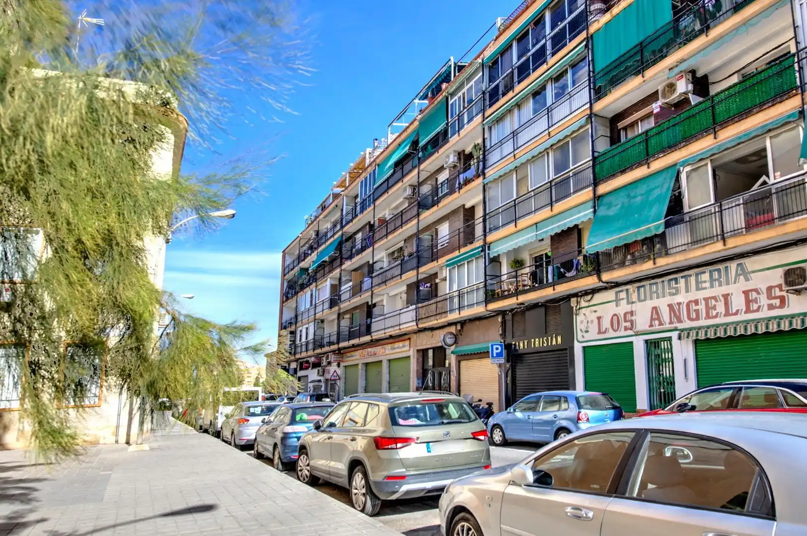 Stanza in affitto, Alacant / Alicante