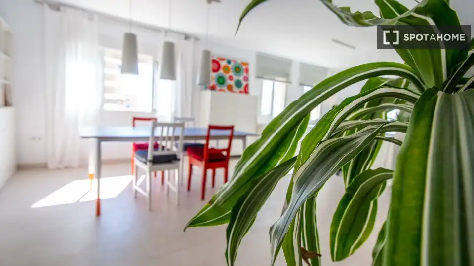 Habitación 104 m², Cádiz