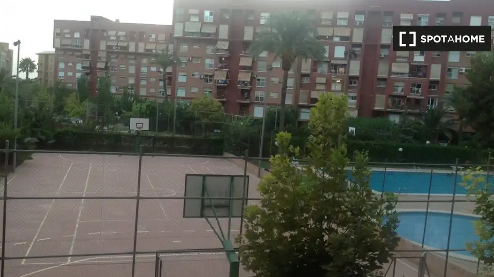 Habitació de lloguer, Alacant