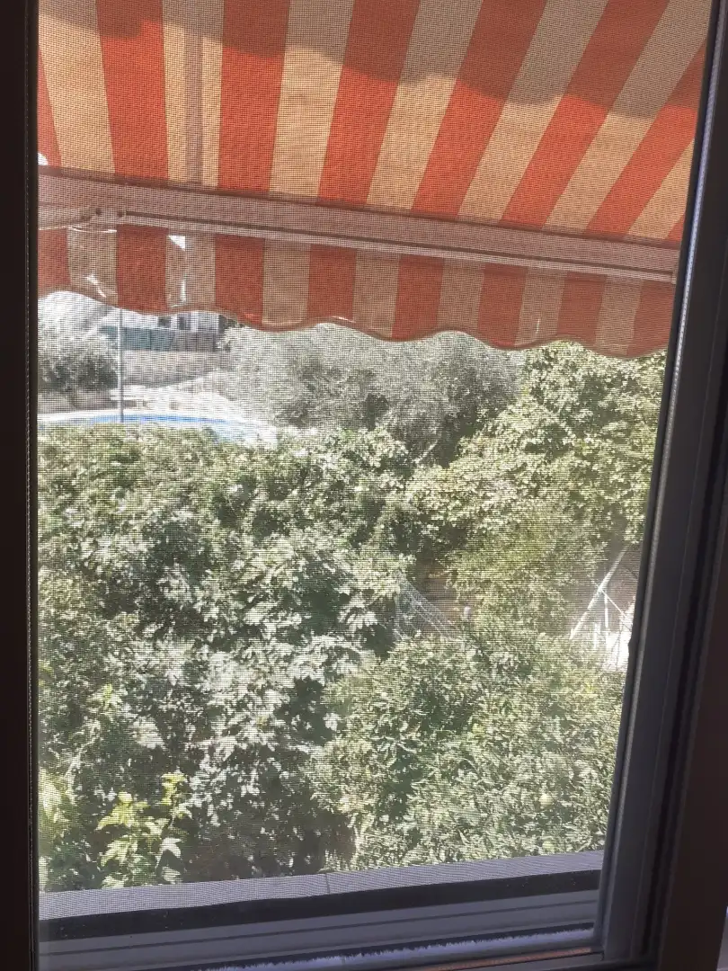 Room for rent, Mutxamel