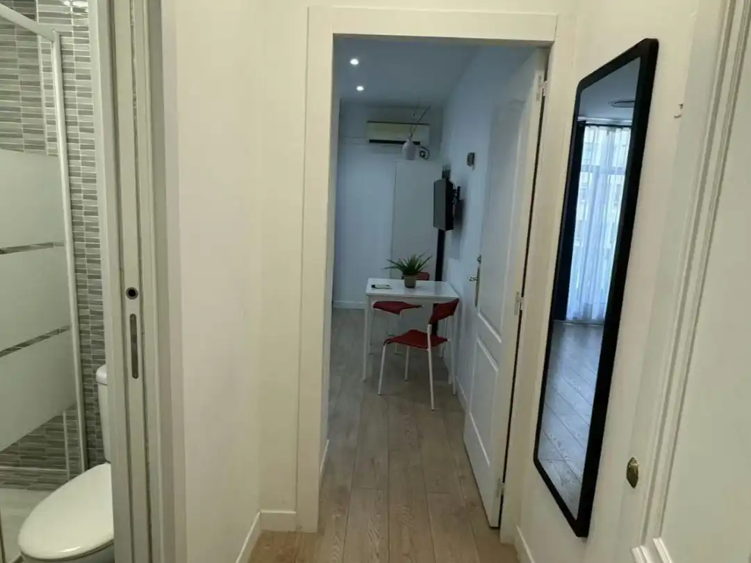 Pis de 29 m² a Madrid