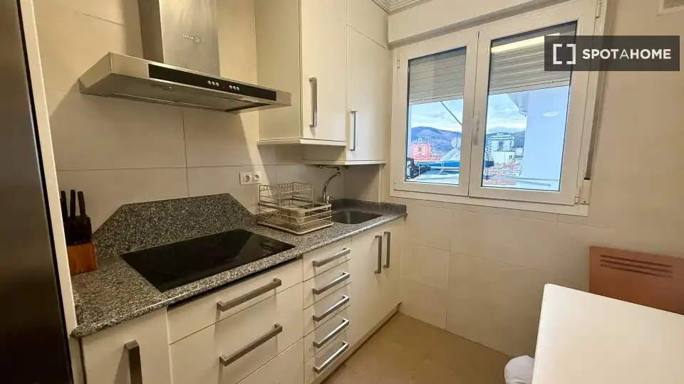 Habitación en alquiler, Bilbao