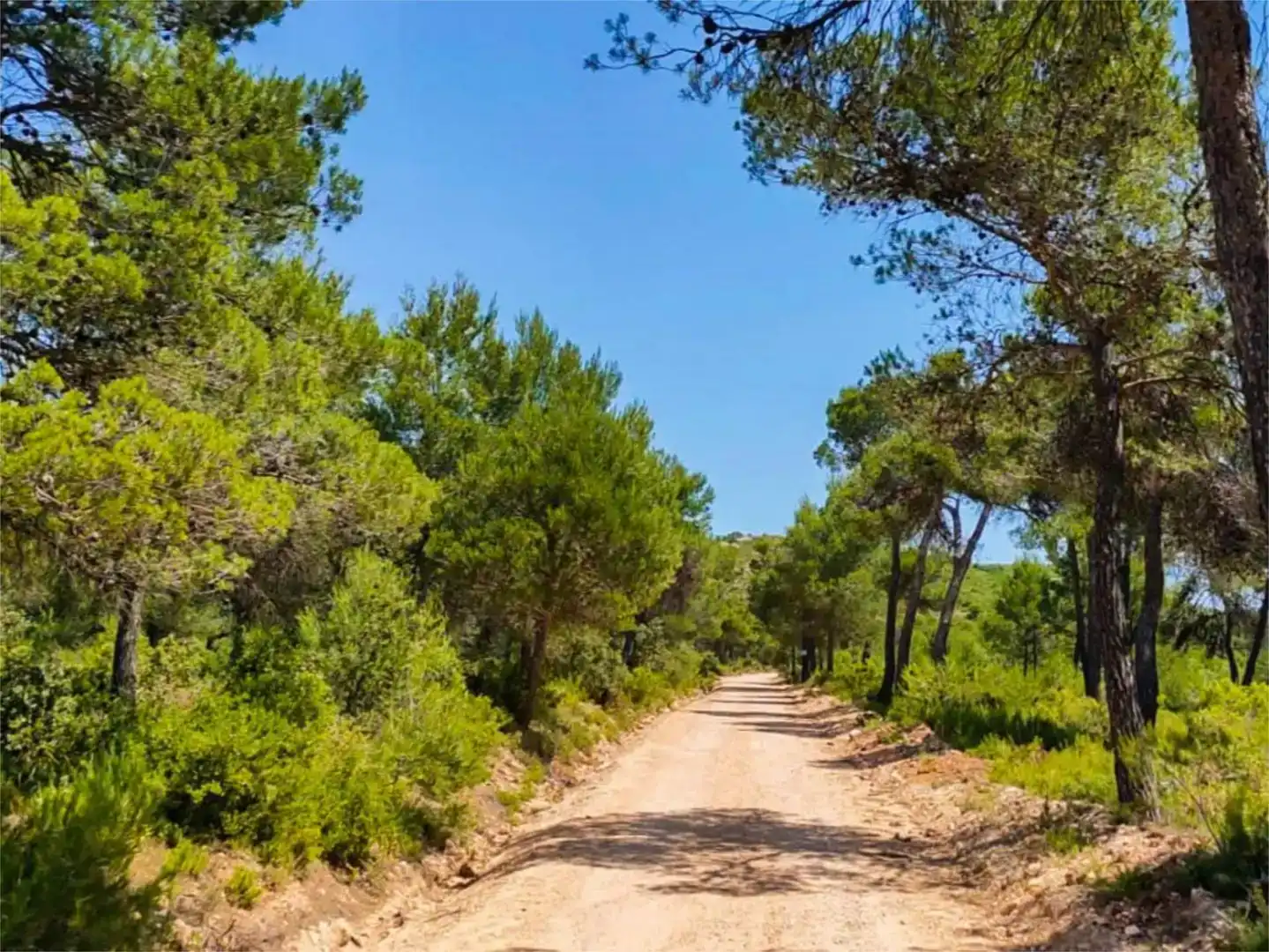 Piso de 560 m² en Alcoy