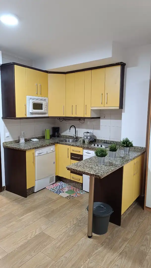 Appartamento 45 m² a Plasencia