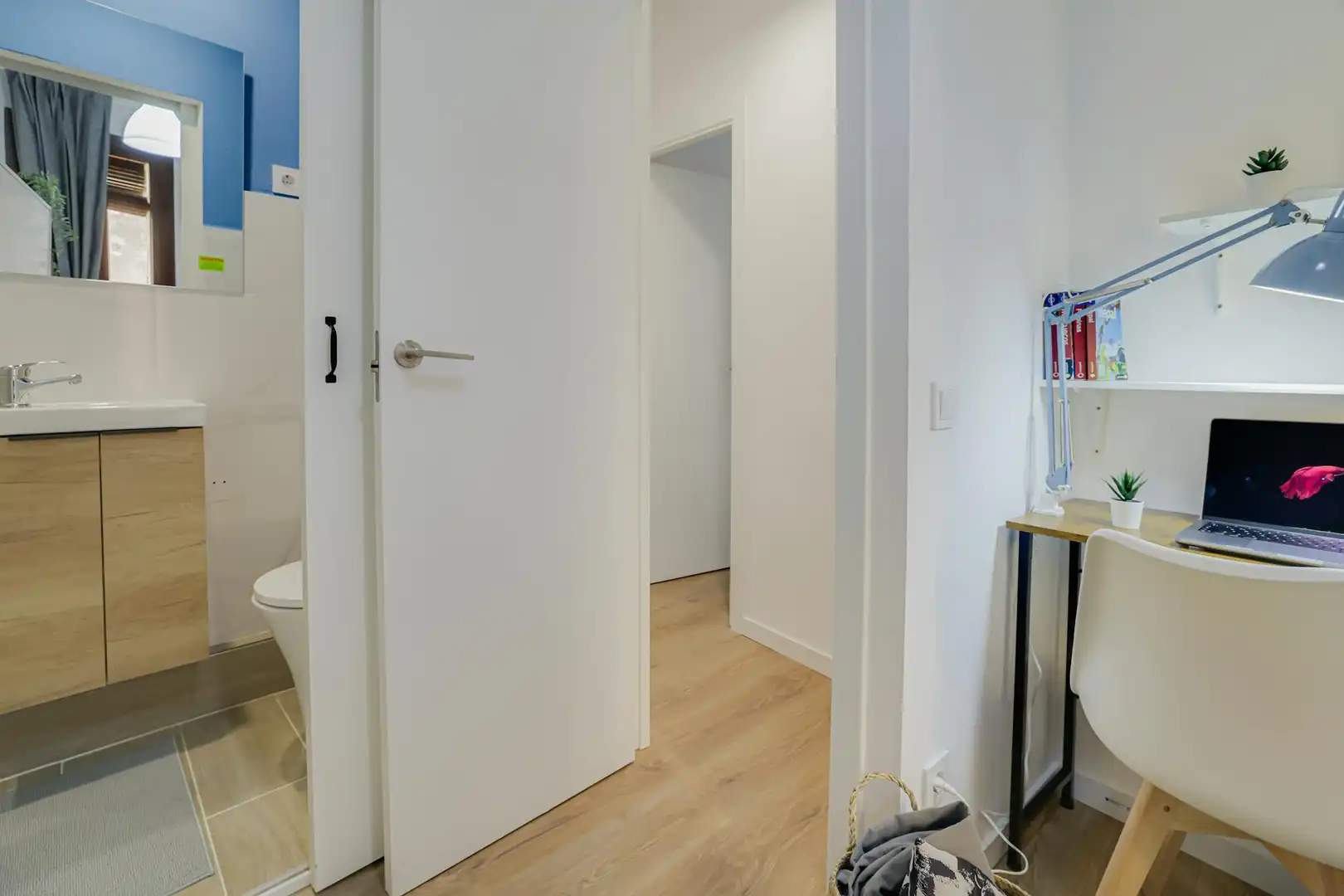 Stanza in affitto, Barcelona