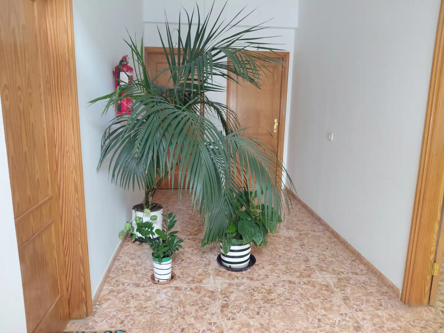 Piso de 43 m² en Arucas