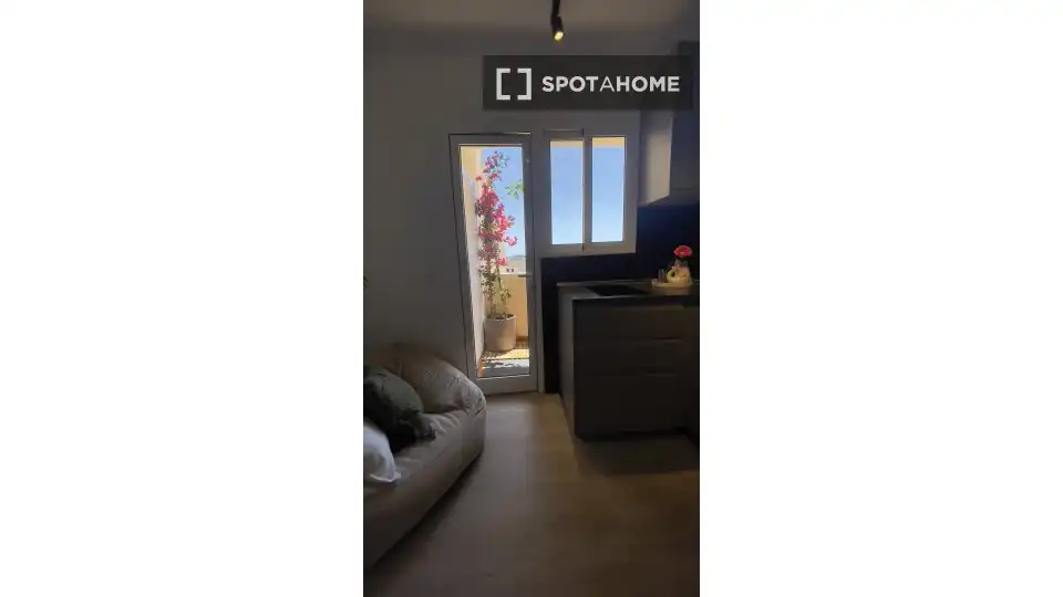 Habitación 35 m², Palma