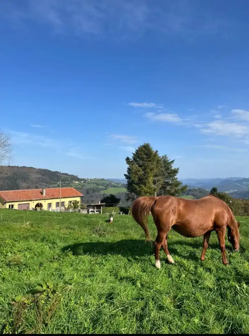 Casa de 100 m² en Salas
