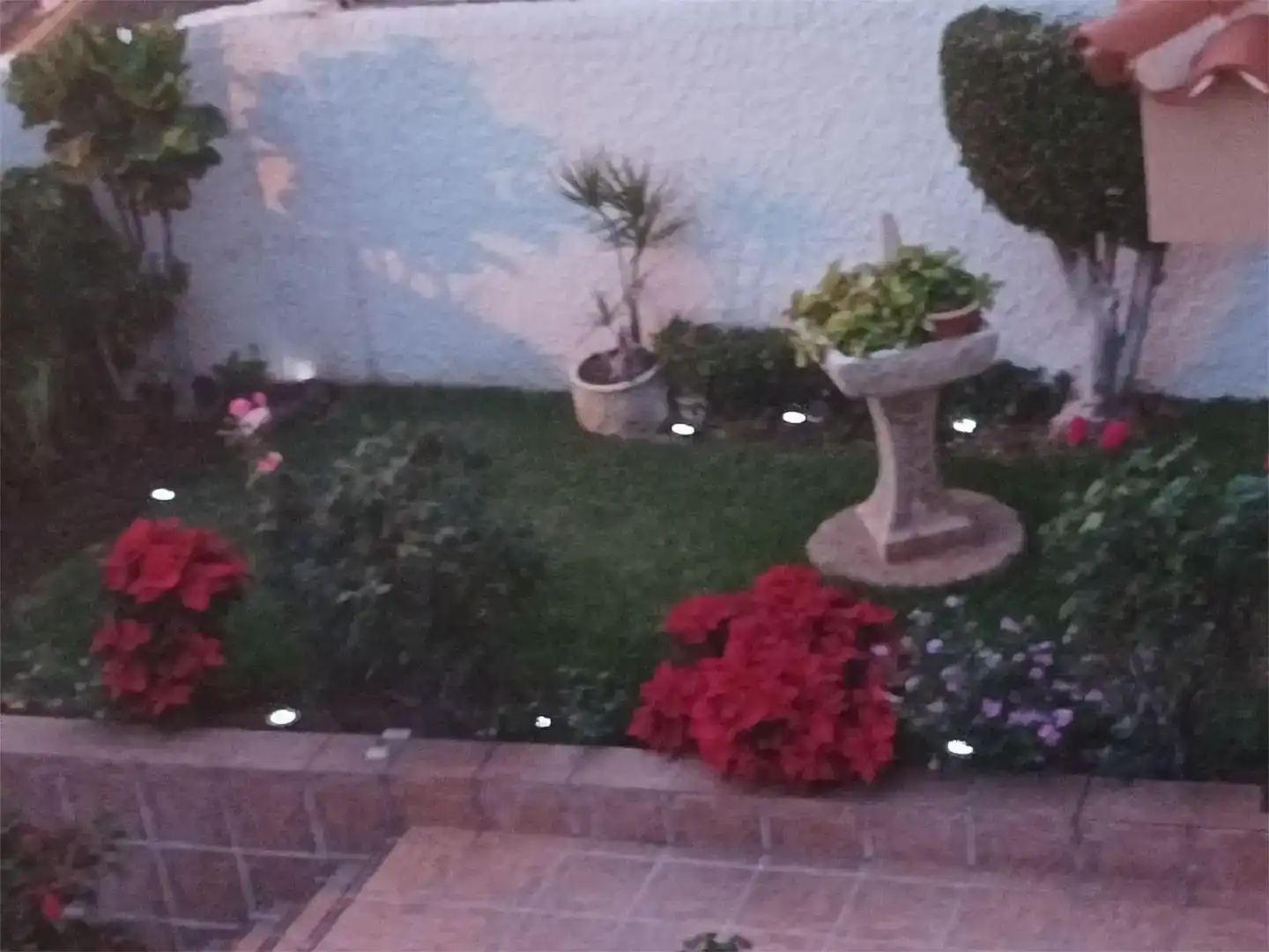 Habitación 700 m², Santa Cruz de Tenerife
