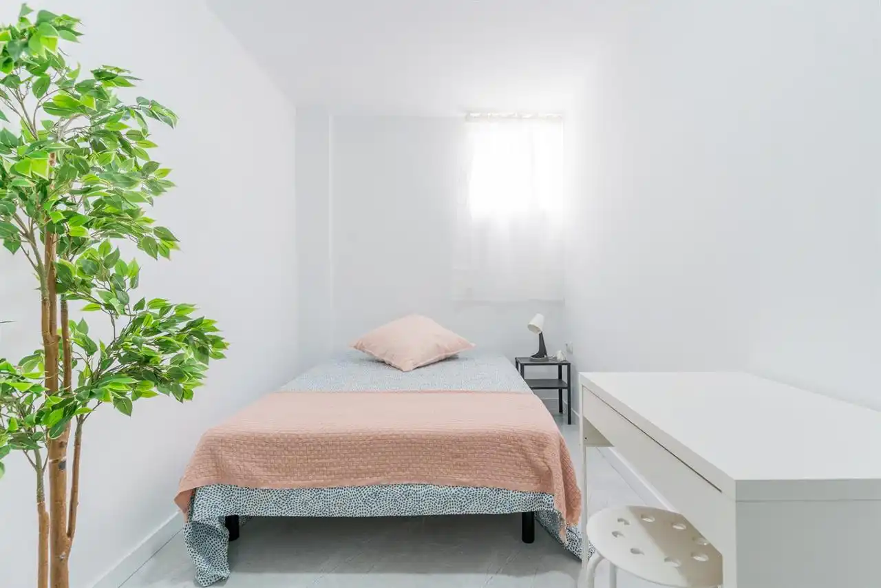 Habitación 285 m², Castellón de la Plana