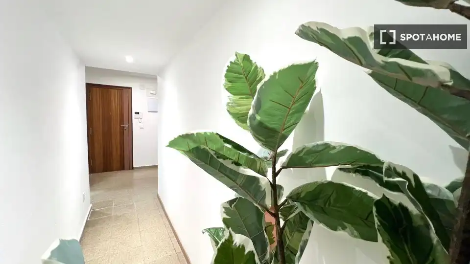Habitación 200 m², Valencia