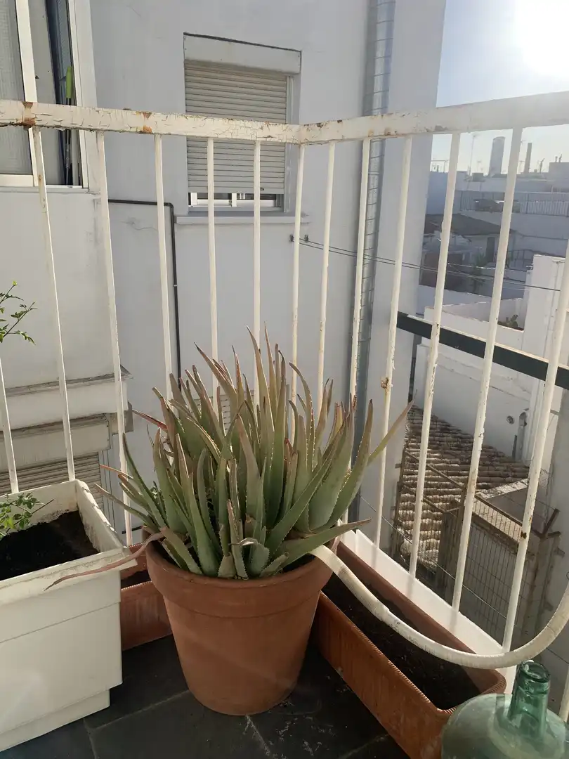 Piso de 63 m² en Sevilla