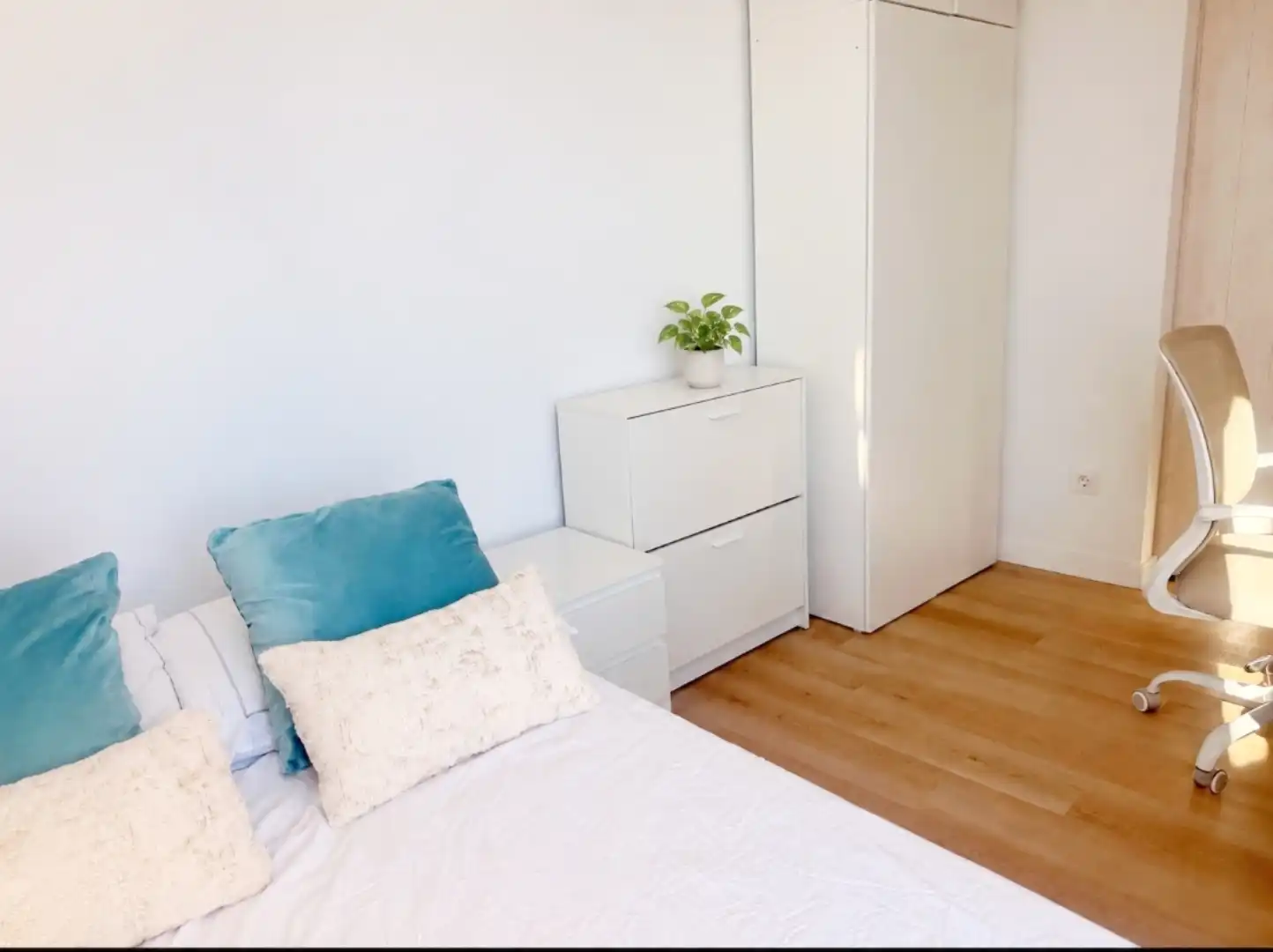Habitació de lloguer, Palma