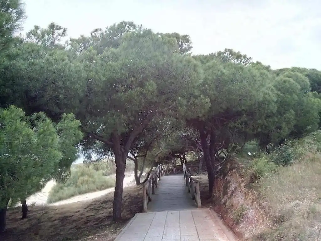 Piso de 80 m² en Cartaya