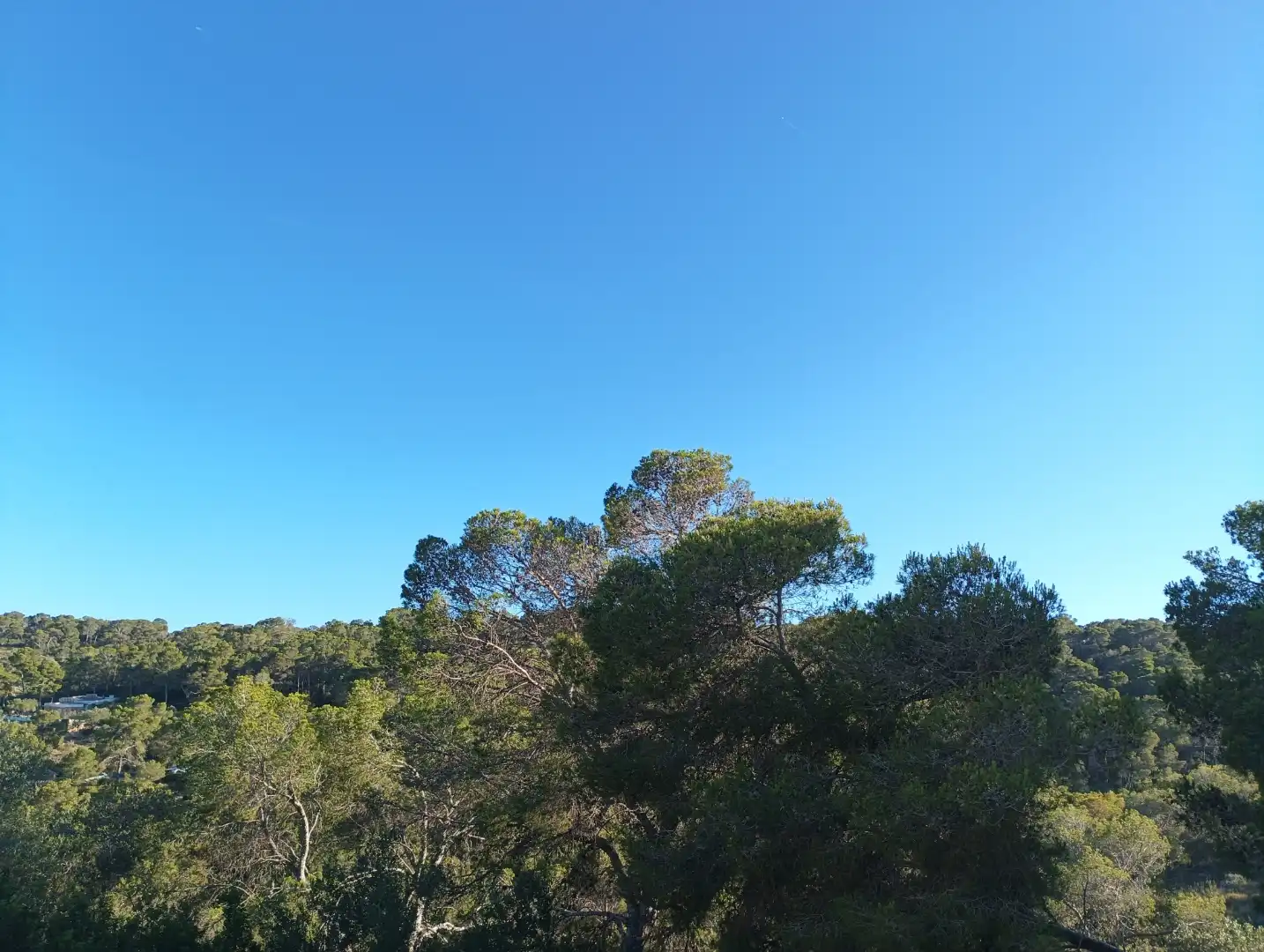 Pis de 70 m² a Calvià