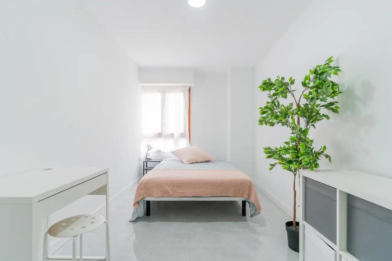 Habitación 285 m², Castellón de la Plana