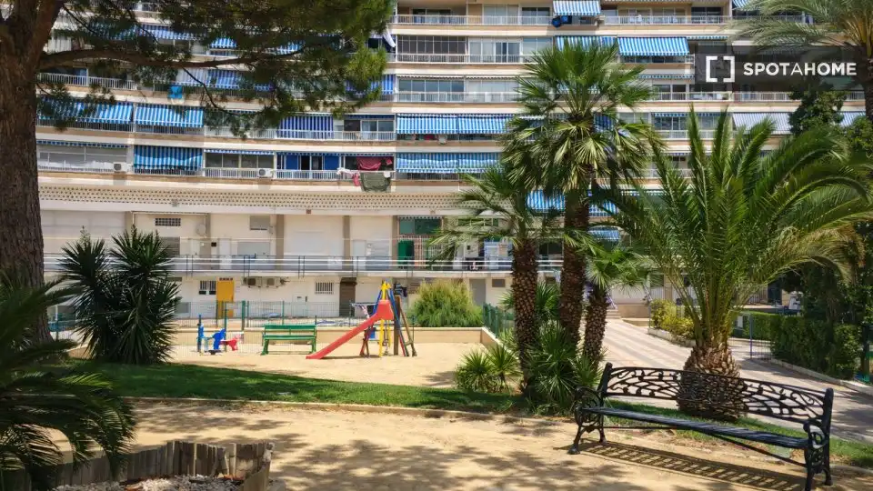 Habitación 40 m², Alicante
