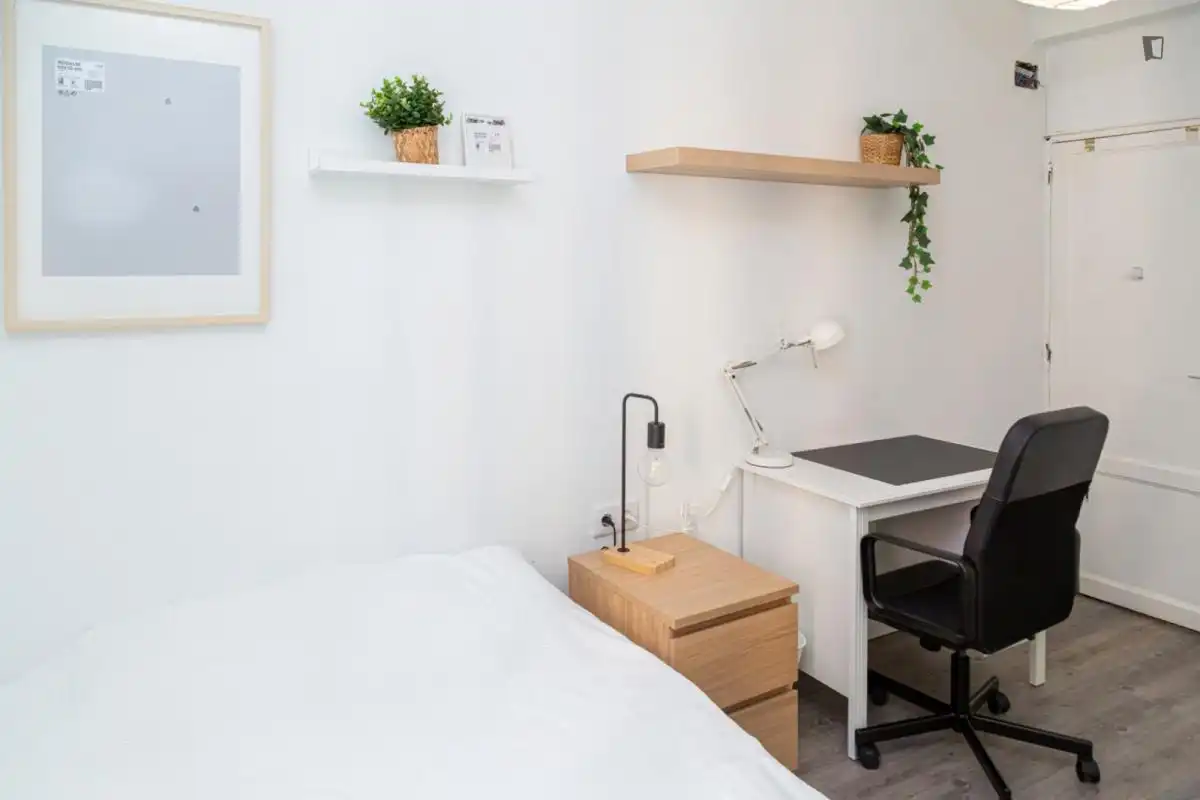 Habitació de lloguer, Saragossa