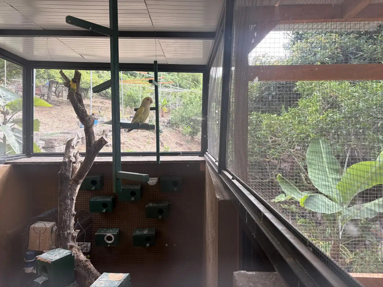 Piso de 50 m² en Firgas