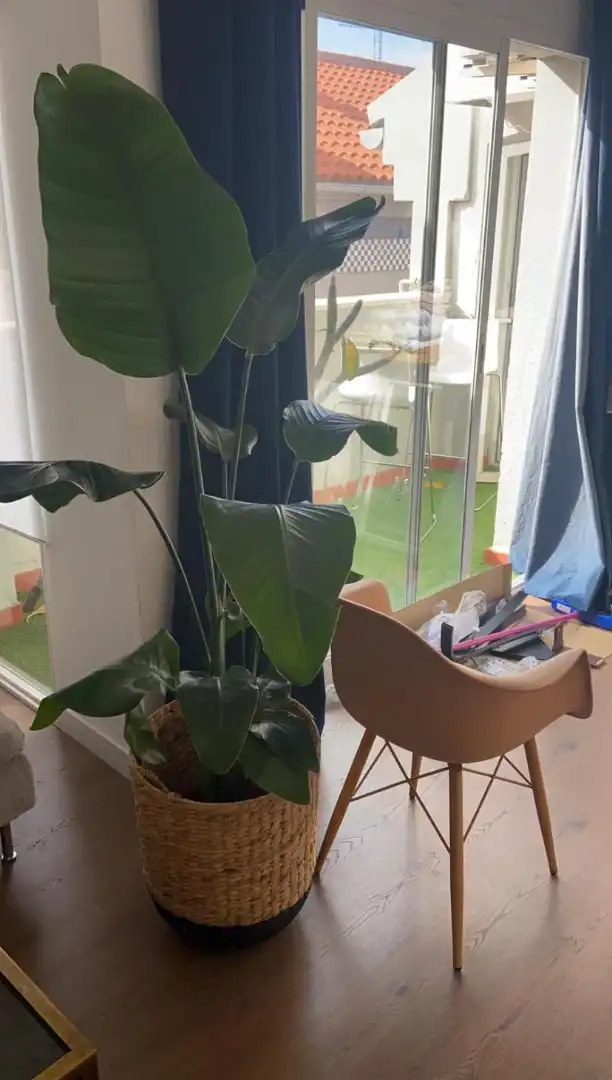 Flat 60 m² in Málaga