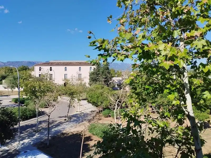 Appartamento 105 m² a Palma