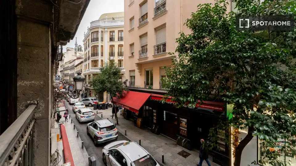 Stanza in affitto, Madrid