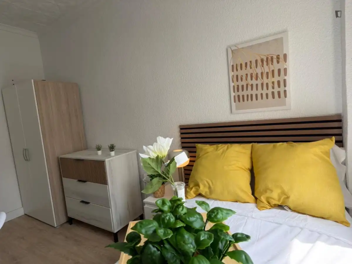 Habitació de lloguer, Alacant